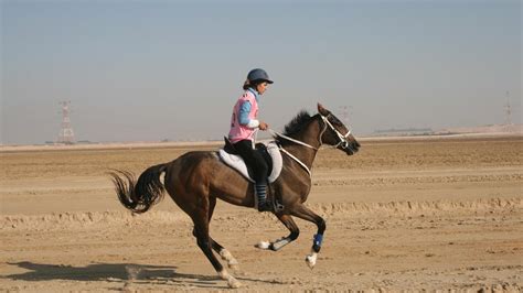 From cheltenham racecourse to the royal cornwall show to the ballymena steam rally, these camels have been there and done that. Dubai Horse Rider Challenges Herself To The Longest ...