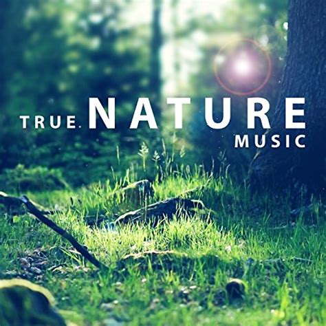 True Nature Music By Nature Music Nature Sound On Amazon Music Amazon