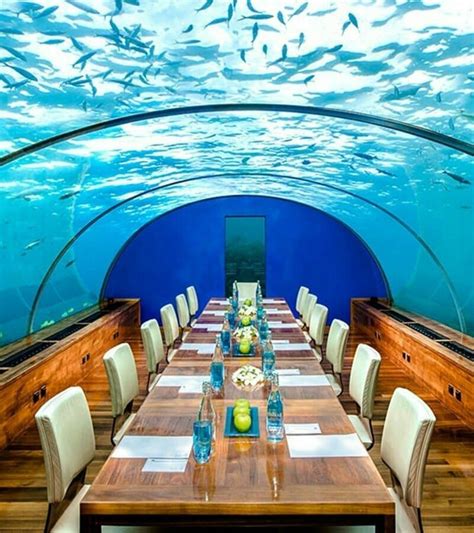 dreamy maldives underwater hotel look inside tropikaia maldives underwater hotel