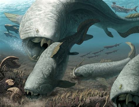 Dunkleosteus Was A Huge Predatory Fish From The Devonian Period About