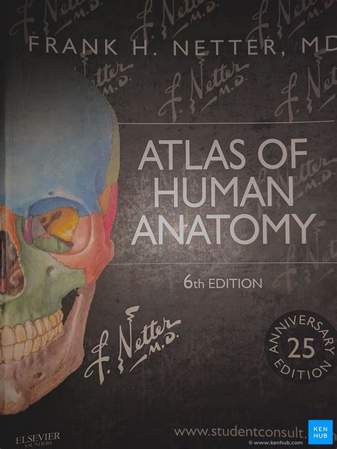 Frank Netters Atlas Of Human Anatomy Review Kenhub