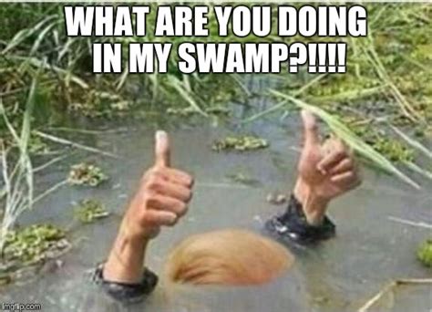 Trump Swamp Creature Imgflip