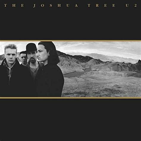 The Joshua Tree 2lpheavyweight Vinyl30th Anniversary Editionu2ロック