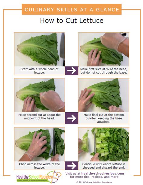 How To Cut Lettuce Healthy School Recipes