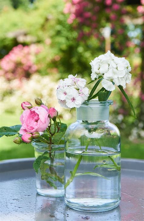 Und für die ausgefallenen tulpensorten, die jetzt im frühjahr ernterei. Garten / Vase / Gartenzauber / Shop / Schnittblume ...