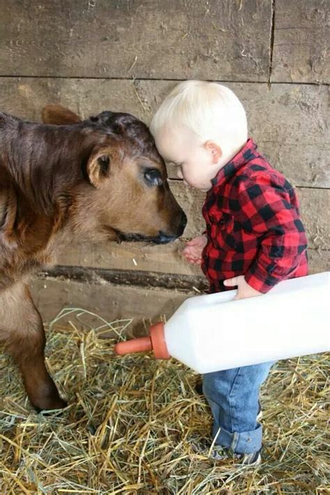 Een Kleine Boer Gaat Een Kalf De Fles Geven Milk Drink