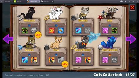 Castle Cats Update 113 And Opening Boxes Youtube