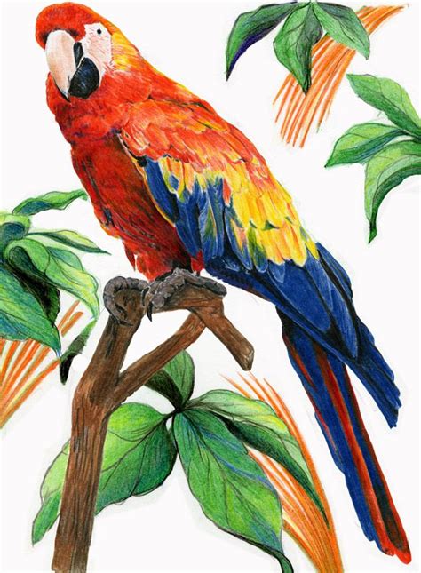 Artwork Creations As They Come To Life On Paper Bird Drawings