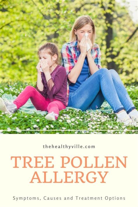 Tree Pollen Allergy Symptoms Causes And Treatment Options Pollen
