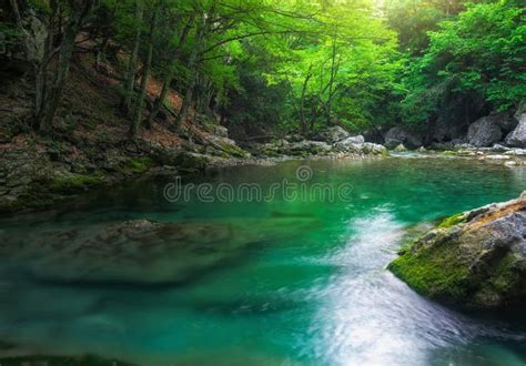 River Deep In Mountain At Summer Stock Image Image Of Nature Flow