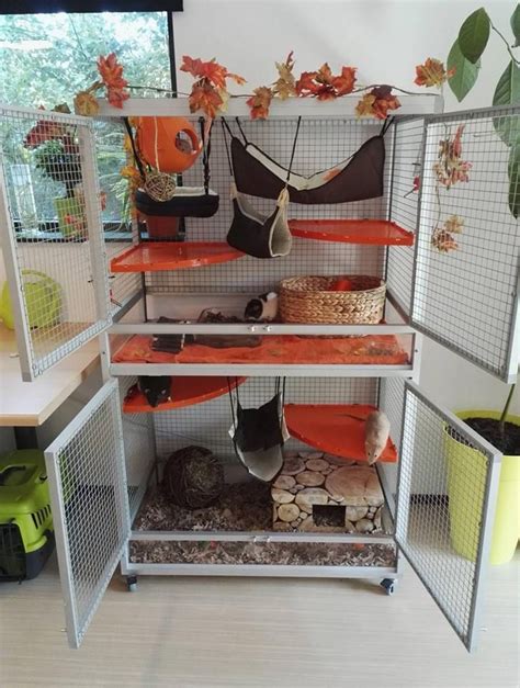 Diy apple wood hanging chew. Aluminum fall rat cage theme! (Critter nation look-a-like ...