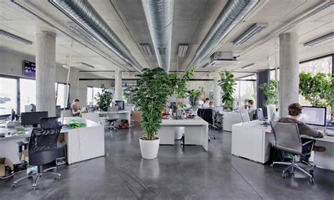 Office Plants Performs Primary Role In Active Work Environment
