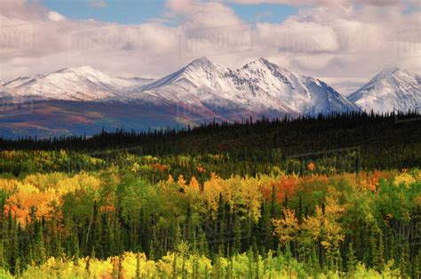 Alaska Range In Autumn Taiga Tundra Denali National Park Alaska