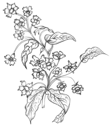 Want to discover art related to flowerpng? Flower Black And White Transparent PNG Pictures - Free ...