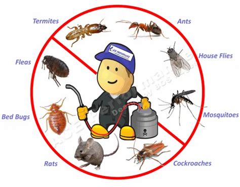 Bed Bugs Pest Control Bed Bugs Control In Pune बेड के लिए बग्स पेस्ट