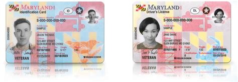 Free Maryland Drivers License Template Eventplm