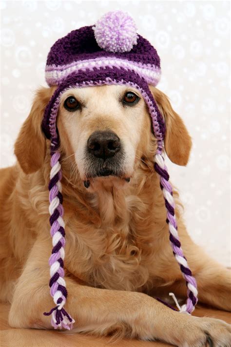 Dog Hat Ear Flap Dog Hat Dog Beanie Pom Pom Hat For Dogs Etsy