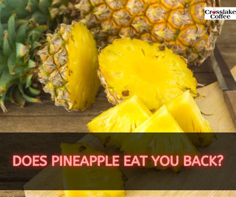 Does Pineapple Eat You Back The Myth Of Pineapple Eating You