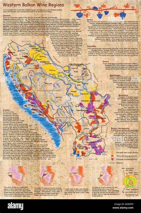 Illustrated Map Of Western Balkan Wine Regions Croatia Serbia