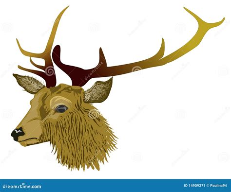 Red Deer Stag Head Roaring Drawing Vector Illustration Cartoondealer