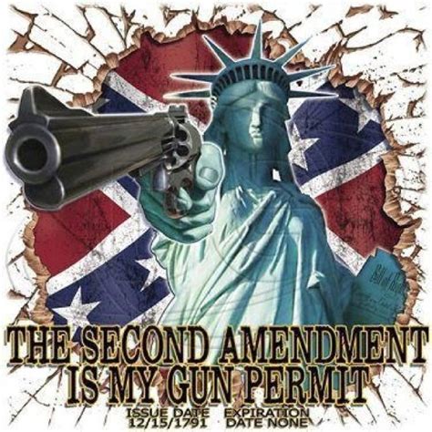 The History Of The Second Amendment 2nd Amendment Two By Two Guns