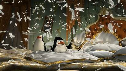 Madagascar Penguins Skipper Wanted Kowalski Europe Wallpapers