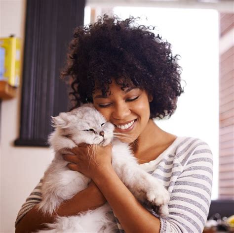 12 Most Affectionate Cats The Sweetest Cat Breeds