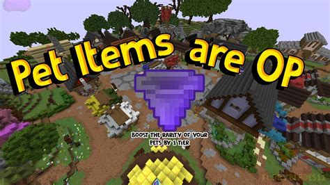 Make Sure You Use The New Pet Items! (Hypixel Skyblock ...