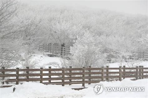 Lead Cold Wave Warning To Be Issued In Seoul For First Time In 3