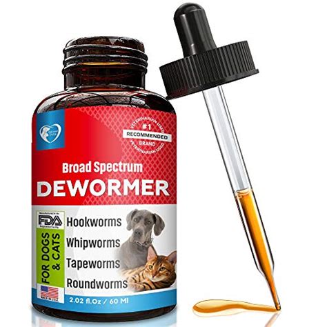 The Best Cat Dewormers 2021 Review