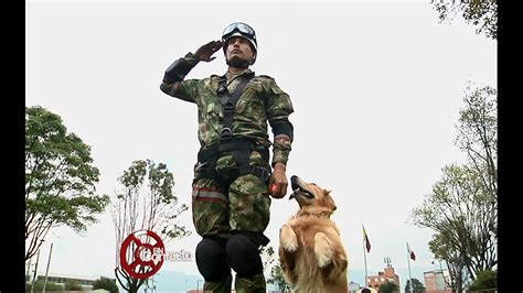 1ª persona singular ( yo ) presente indicativo. Primer Binomio Canino del Ejército Nacional certificado internacionalmente. - YouTube