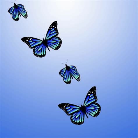 With Images Butterfly Wallpaper Line Art