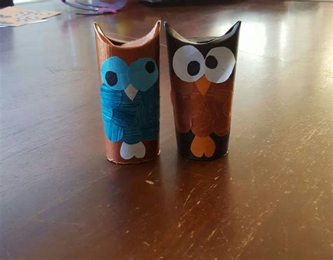 Toilet Paper Roll Owls I Made Toilet Paper Roll Crafts Toilet Paper