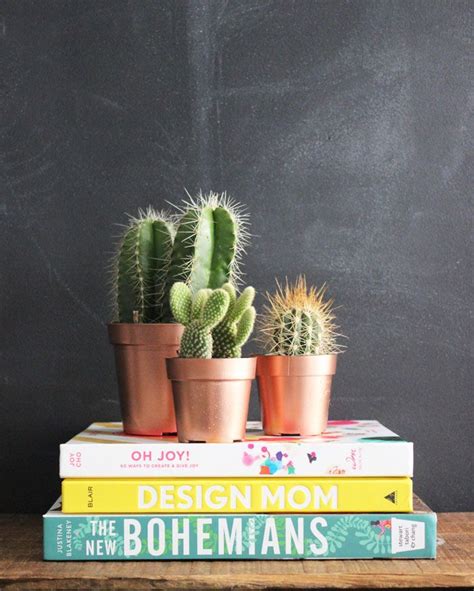 Keeping the injuries clean would suffice. 30 Copper Home Accents to Buy and DIY