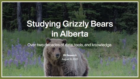 Grizzly Bear Program Fri Research