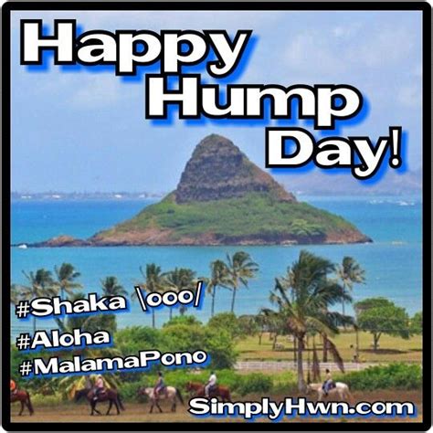 Happy Hump Day Simply Hawaiian Ohana How Many Of You Will Say It Back