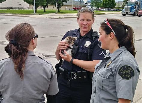 Officer adopts kitten she rescued from car’s engine compartment in Bay