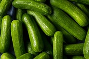 Guide To Different Types Of Cucumbers | Nature Fresh Farms