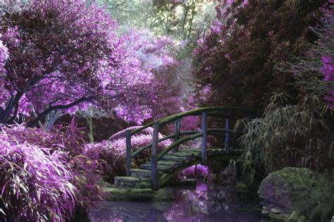 A Mystical Garden Original Public Free Photo Rawpixel