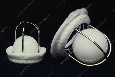 Artificial Heart Valves Stock Image M5610089 Science Photo Library