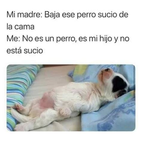 mi madre baja ese perro sucio de la cama me no es un perro es mi hijo y no está sucio memes