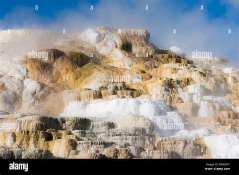 Mammoth Hot Springs Travertine Terraces In Yellowstone National Park