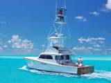 Pictures of Small Yellowfin Boat