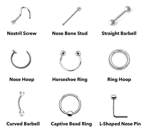 Update More Than 122 Types Of Nose Rings Best Vn