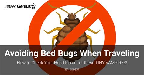 Avoid Bed Bugs When Traveling How To Check Your Hotel For Bed Bugs