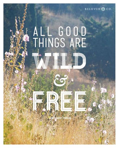To be wild is not to be crazy or psychotic. All Good Things Are Wild and Free Print | Quotes | Pinterest