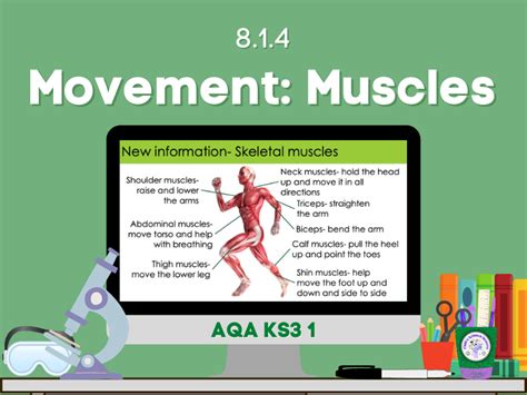 Movement Muscles Teaching Resources
