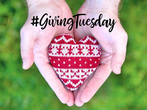 Givingtuesday 5 Arlington Nonprofits That Could Use Your Help