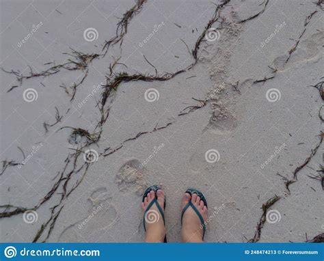 Sand Between My Toes Stock Image Image Of People Soft