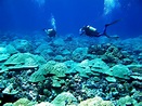 NOAA Coral Reef Ecosystem Division – Mission Blog: From Jarvis Island ...